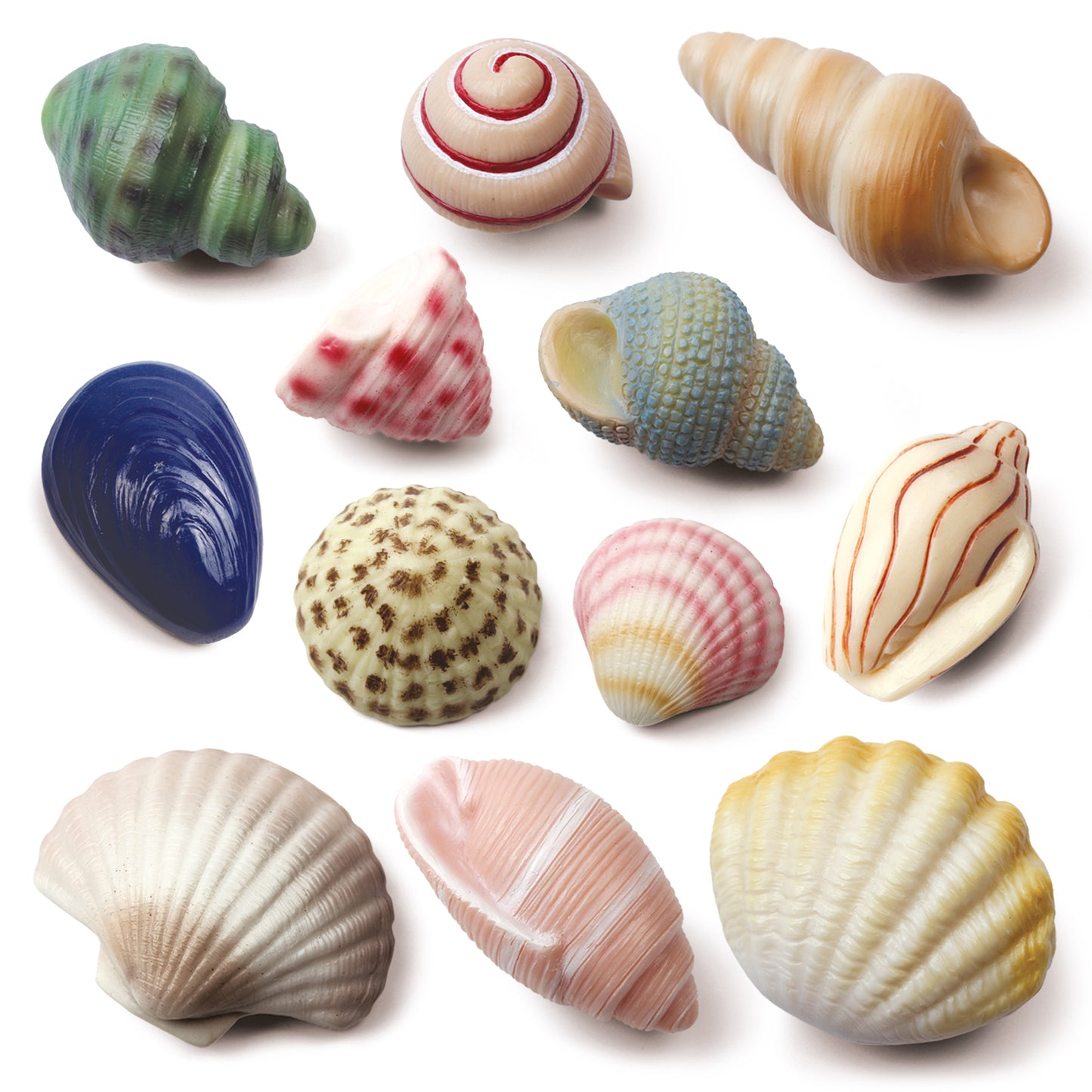 Seashells – Sensory Play Stones