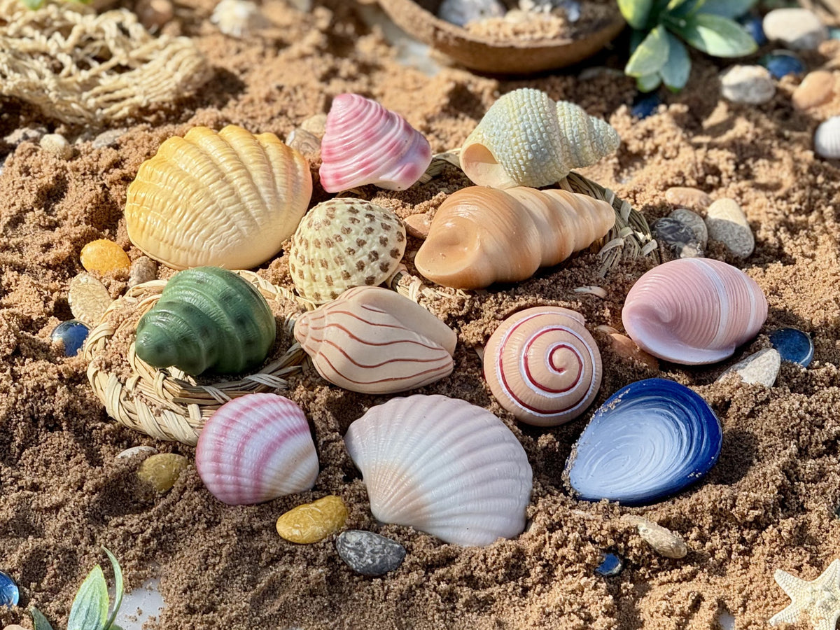 Seashells – Sensory Play Stones