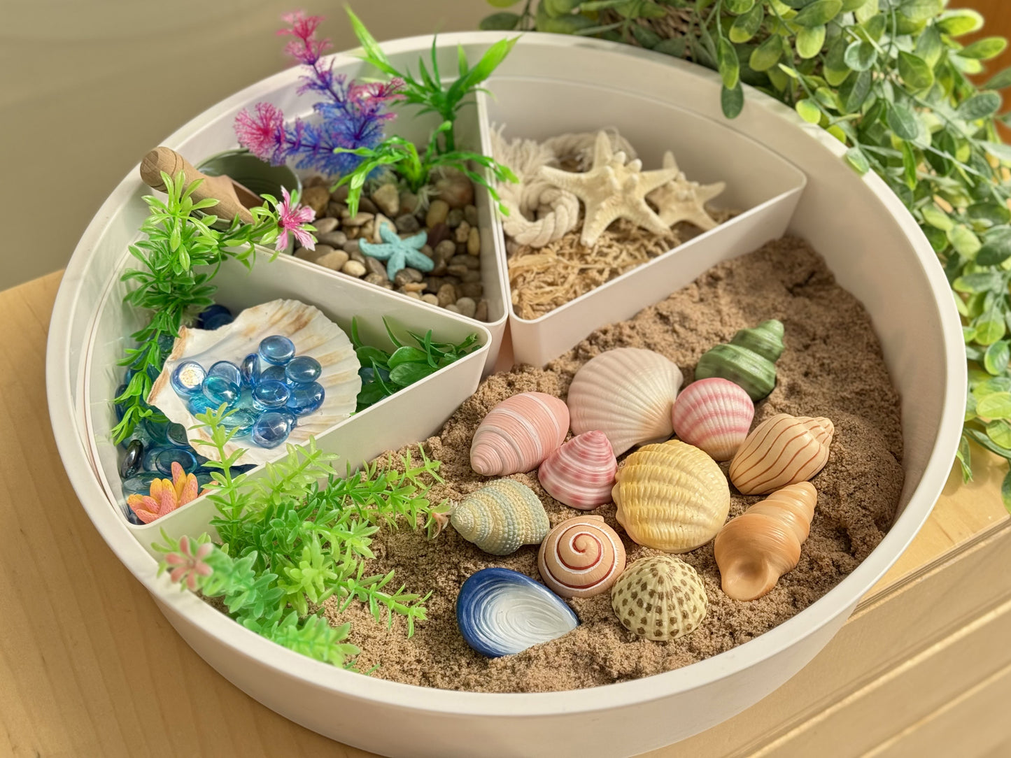 Seashells – Sensory Play Stones