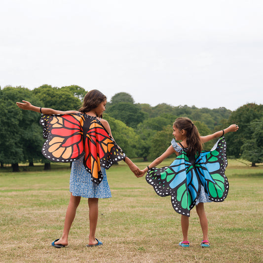 Butterfly Wings Cape Bundle