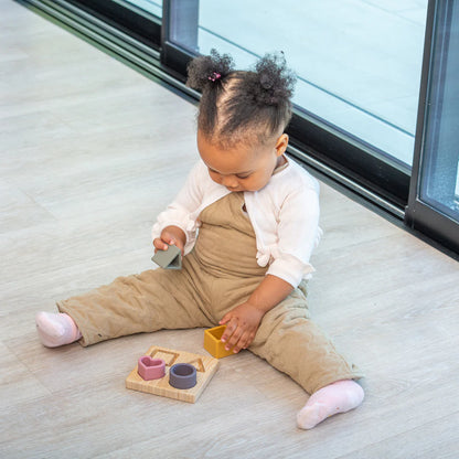 SiliSoft Shape Puzzle (Earth)