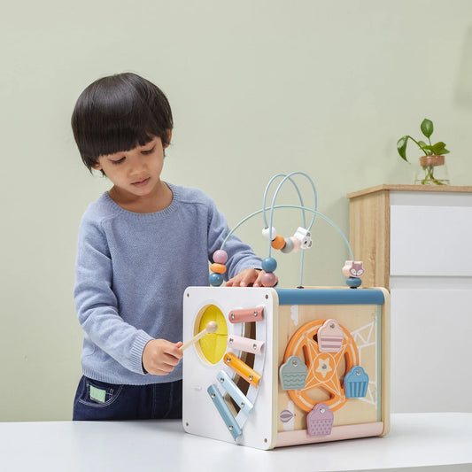 8 in 1 activity cube