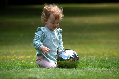 Sensory Steel Tumble Ball