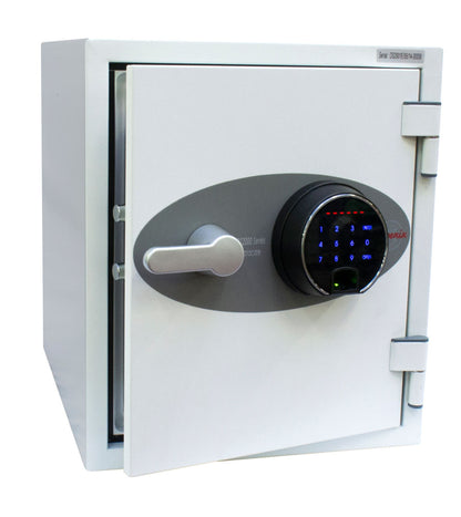 Phoenix Datacare Data Safe