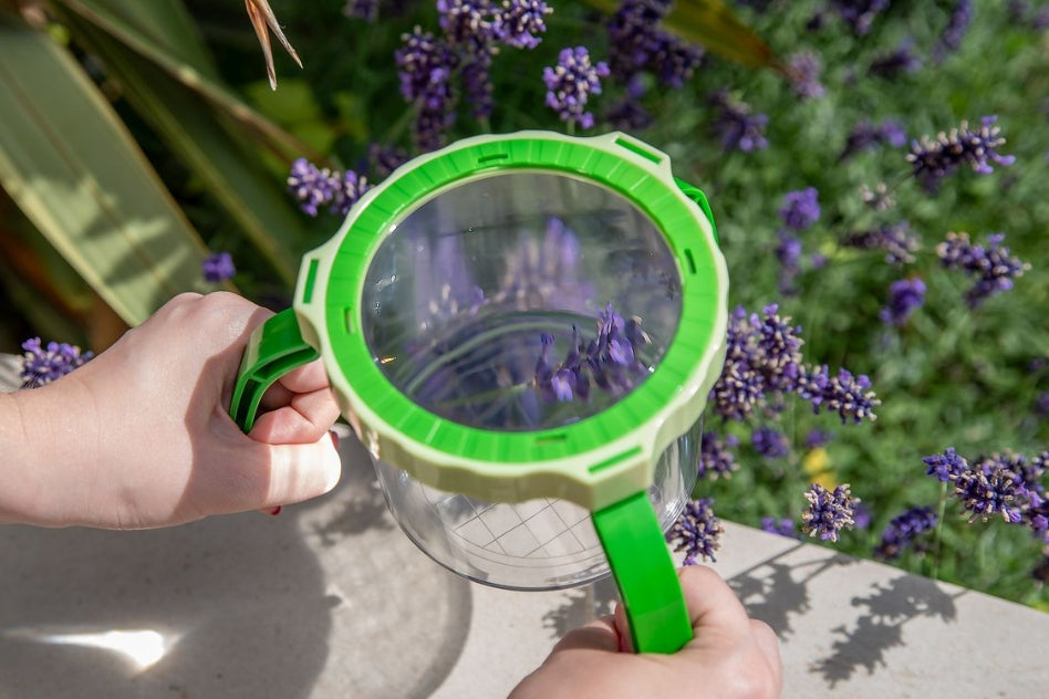 Tabletop Magnifier & Pot – Chequered Fox