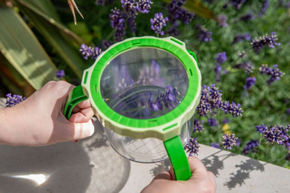 Tabletop Magnifier & Pot