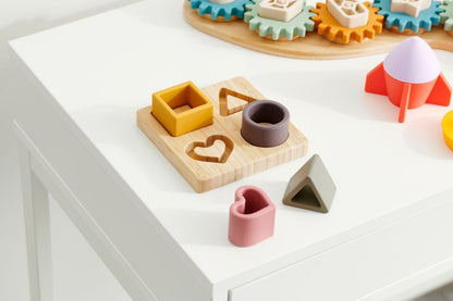 SiliSoft Shape Puzzle (Earth)