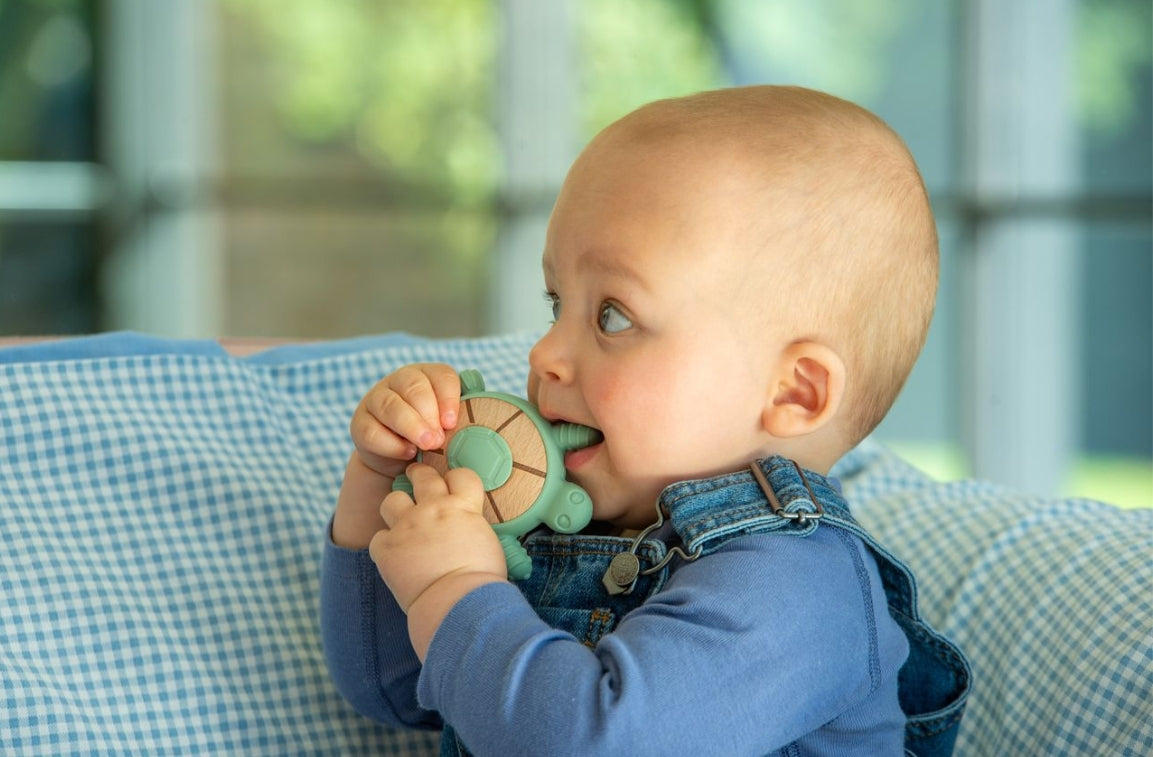 SiliSoft Turtle Teether