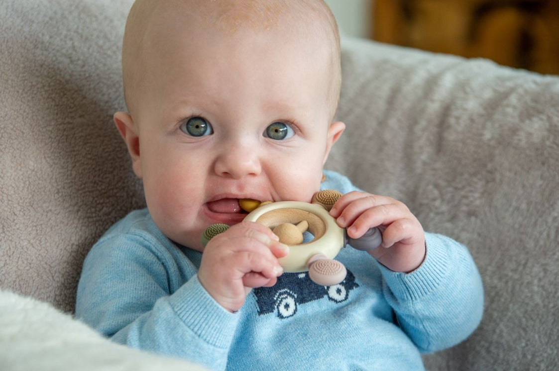 SiliSoft Rattle Teether (Earth)