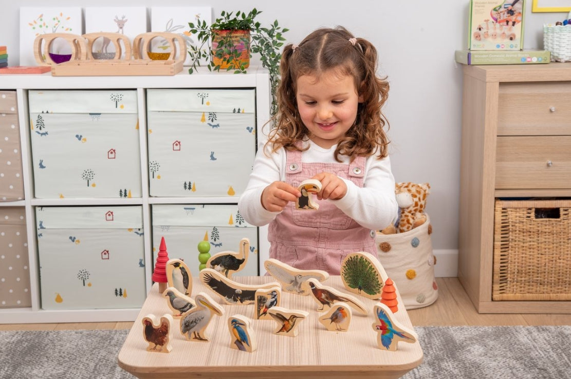 Wooden Bird Blocks