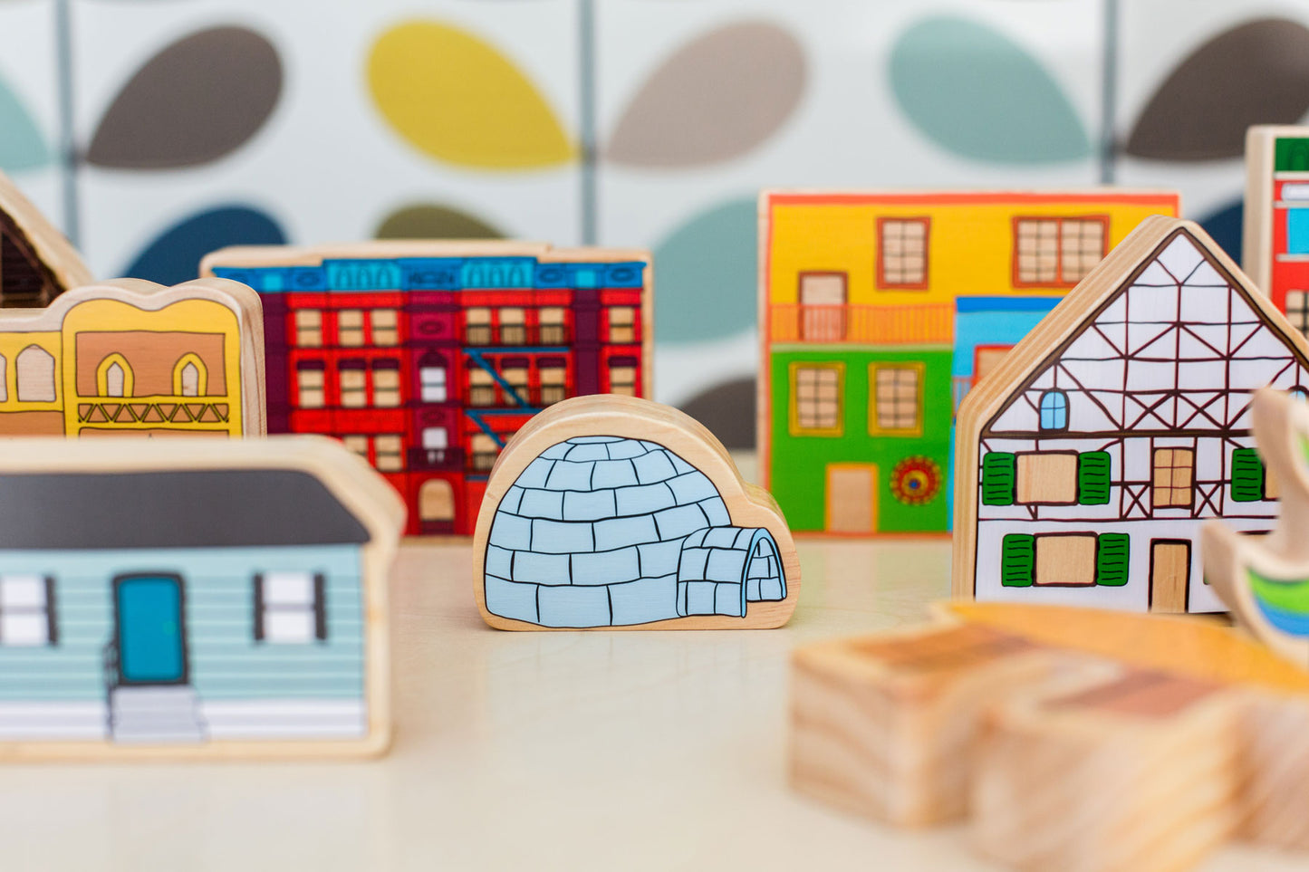 Homes Around the World