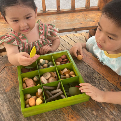 Nature’s Sorting Box