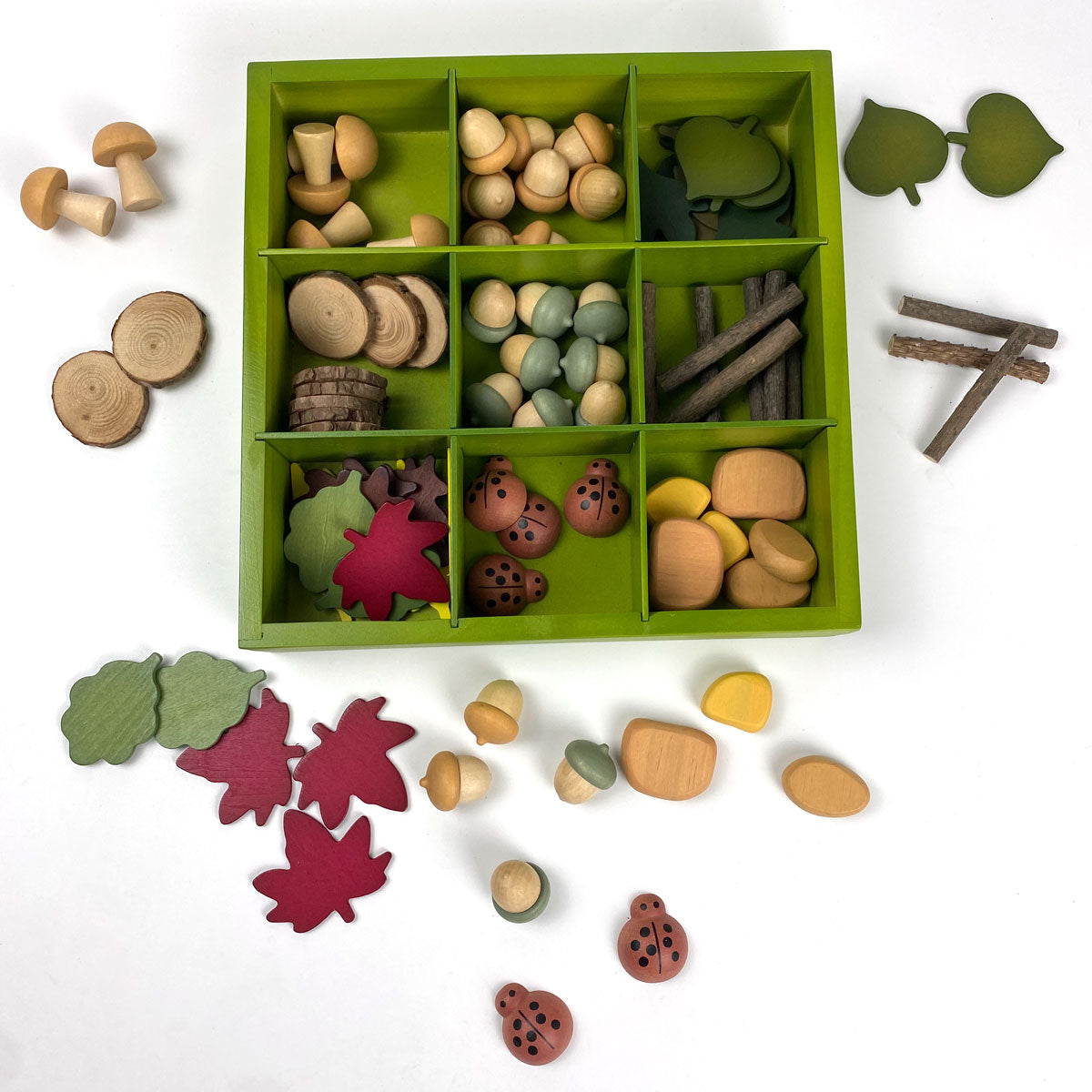 Nature’s Sorting Box