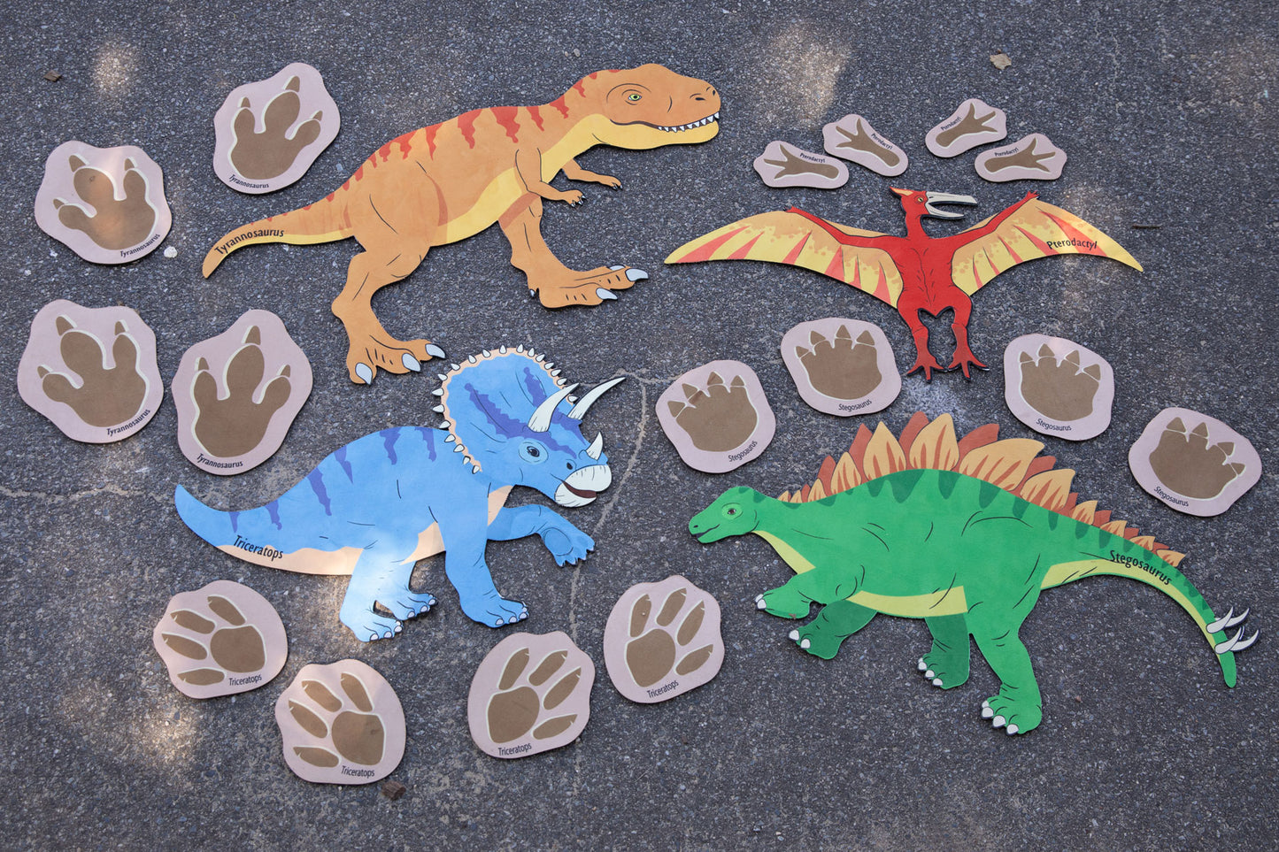 Chasing Dinosaurs
