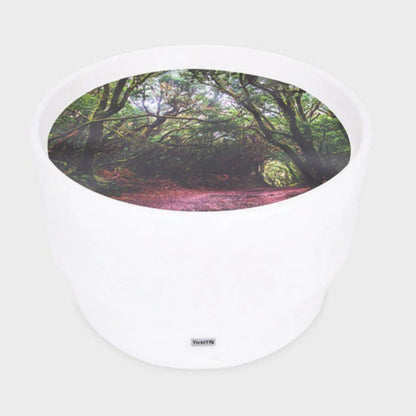 Sensory Mood Discovery Table + Forest Discovery Play Mat