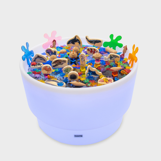 Discovery Table - Sea Bundle