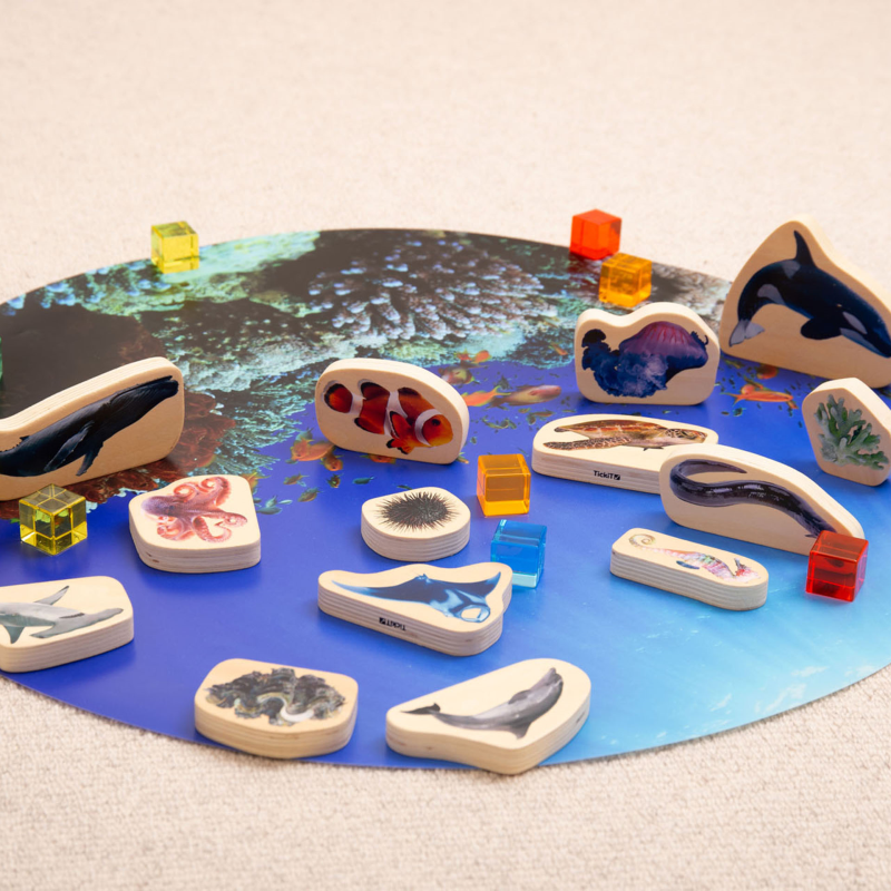 Discovery Table Sea Bundle