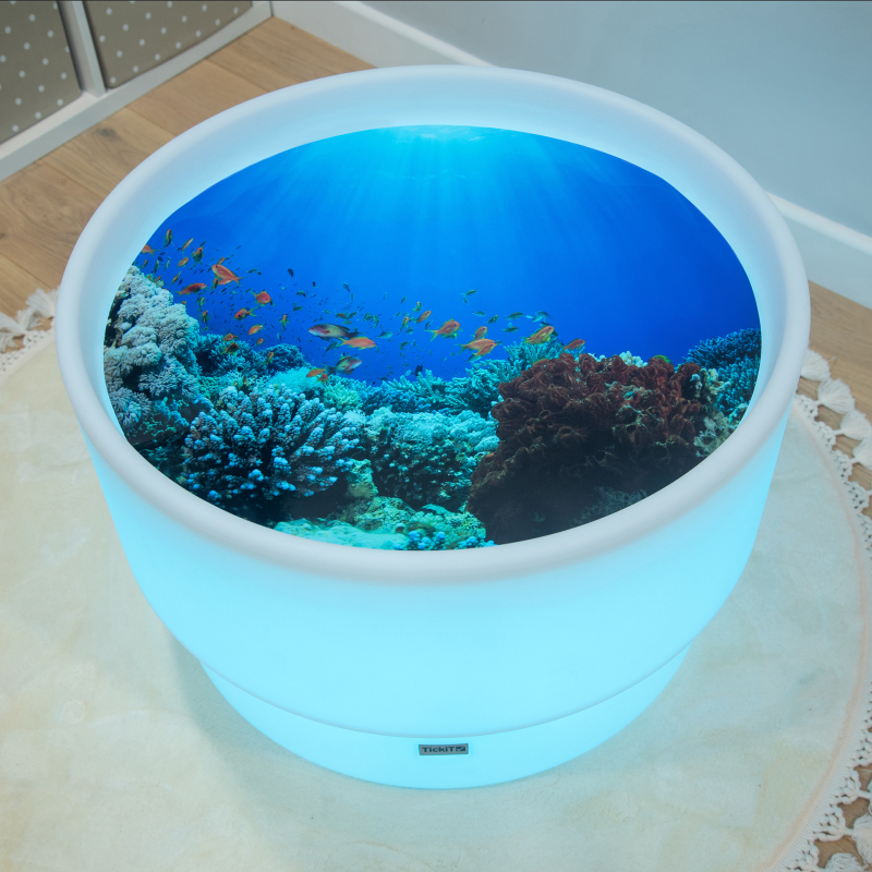 Discovery Table Sea Bundle