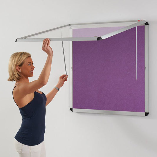 Shield Eco-Colour Corridor Tamperproof Satin Aluminium Frame