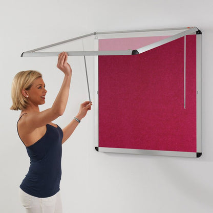 Shield Eco-Colour Corridor Tamperproof Satin Aluminium Frame