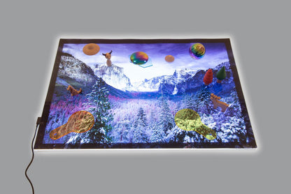 A2 Light Panel + Winter Valley Play Mat